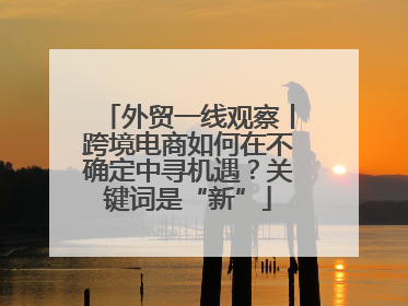 外贸一线观察丨跨境电商如何在不确定中寻机遇？关键词是“新”