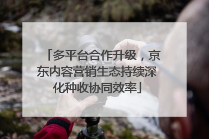 多平台合作升级，京东内容营销生态持续深化种收协同效率