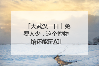 大武汉一日丨免费人少，这个博物馆还能玩AI