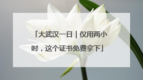 大武汉一日｜仅用两小时，这个证书免费拿下