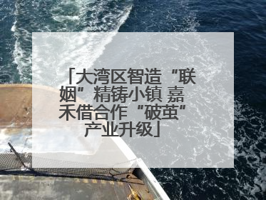 大湾区智造“联姻”精铸小镇 嘉禾借合作“破茧”产业升级