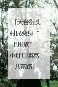 天台街头村民变身“上班族” 小灯具照亮共富路