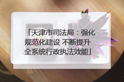 天津市司法局：强化规范化建设 不断提升全系统行政执法效能