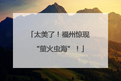 太美了！福州惊现“萤火虫海”！