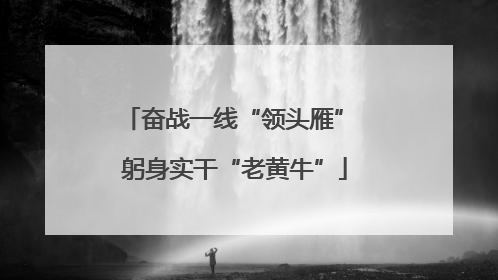 奋战一线“领头雁” 躬身实干“老黄牛”