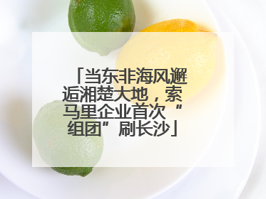 当东非海风邂逅湘楚大地，索马里企业首次“组团”刷长沙