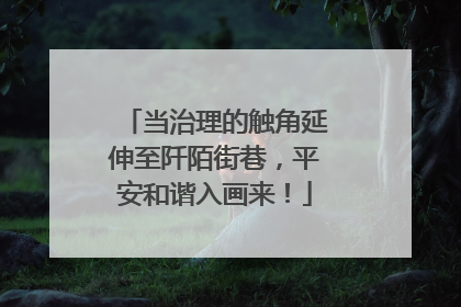 当治理的触角延伸至阡陌街巷，平安和谐入画来！