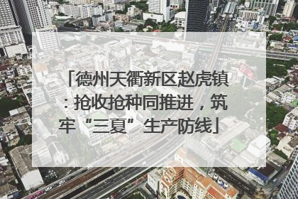 德州天衢新区赵虎镇：抢收抢种同推进，筑牢“三夏”生产防线