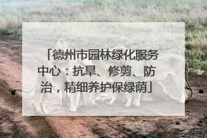德州市园林绿化服务中心：抗旱、修剪、防治，精细养护保绿荫