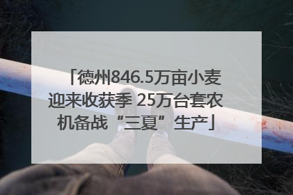 德州846.5万亩小麦迎来收获季 25万台套农机备战“三夏”生产