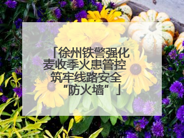 徐州铁警强化麦收季火患管控 筑牢线路安全“防火墙”