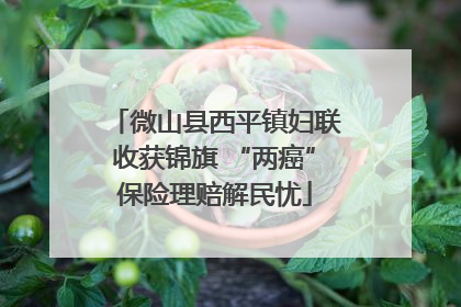 微山县西平镇妇联收获锦旗 “两癌”保险理赔解民忧