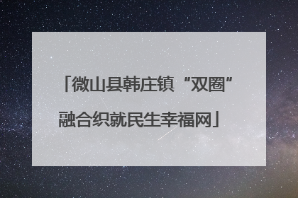 微山县韩庄镇“双圈”融合织就民生幸福网