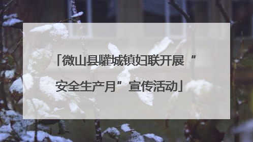 微山县驩城镇妇联开展“安全生产月”宣传活动