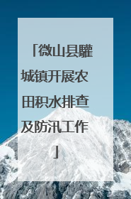 微山县驩城镇开展农田积水排查及防汛工作