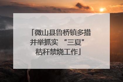 微山县鲁桥镇多措并举抓实 “三夏” 秸秆禁烧工作