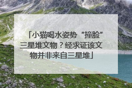 小猫喝水姿势“撞脸”三星堆文物？经求证该文物并非来自三星堆
