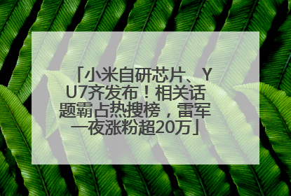 小米自研芯片、YU7齐发布！相关话题霸占热搜榜，雷军一夜涨粉超20万