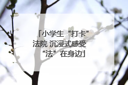 小学生“打卡”法院 沉浸式感受“法”在身边