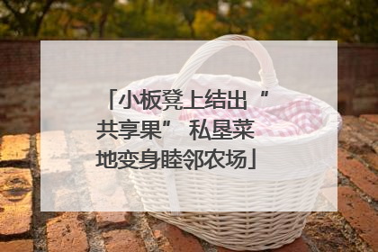 小板凳上结出“共享果” 私垦菜地变身睦邻农场