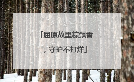 屈原故里粽飘香，守护不打烊