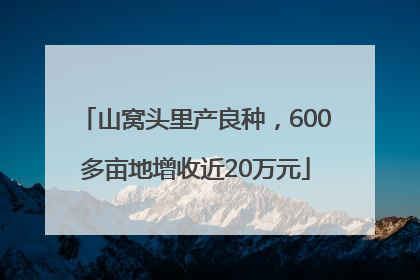 山窝头里产良种，600多亩地增收近20万元