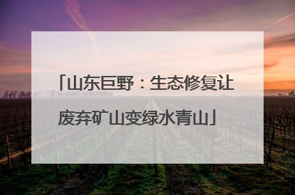 山东巨野：生态修复让废弃矿山变绿水青山