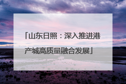 山东日照：深入推进港产城高质量融合发展
