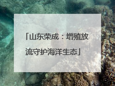 山东荣成：增殖放流守护海洋生态