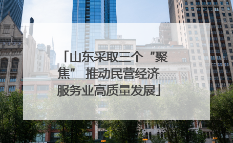 山东采取三个“聚焦” 推动民营经济服务业高质量发展