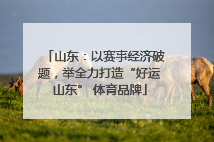 山东：以赛事经济破题，举全力打造“好运山东” 体育品牌