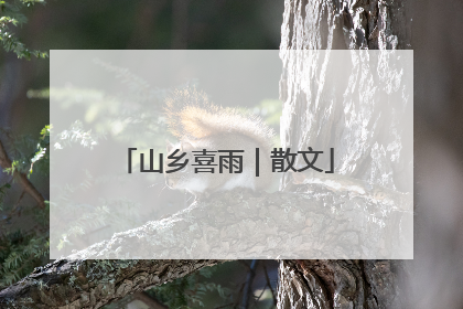 山乡喜雨｜散文