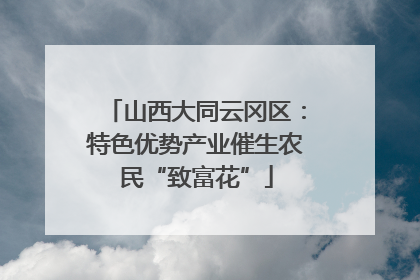 山西大同云冈区：特色优势产业催生农民“致富花”
