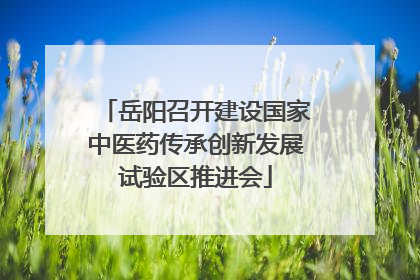 岳阳召开建设国家中医药传承创新发展试验区推进会