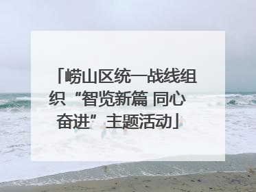 崂山区统一战线组织“智览新篇 同心奋进”主题活动