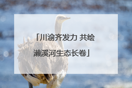 川渝齐发力 共绘濑溪河生态长卷