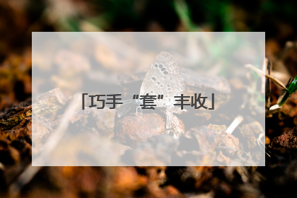 巧手“套”丰收
