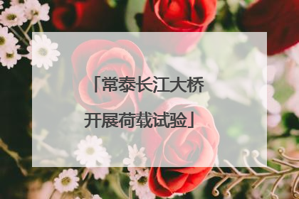 常泰长江大桥开展荷载试验