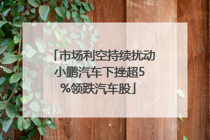 市场利空持续扰动 小鹏汽车下挫超5%领跌汽车股