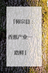 师宗县：香葱产业一路鲜