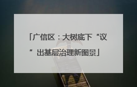 广信区：大树底下“议”出基层治理新图景