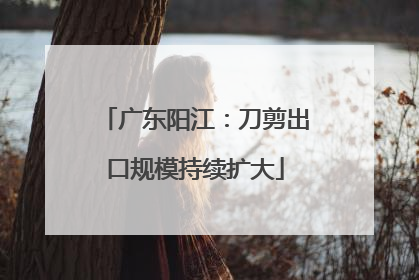 广东阳江：刀剪出口规模持续扩大