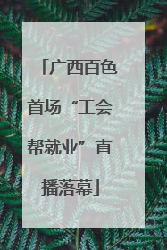 广西百色首场“工会帮就业”直播落幕