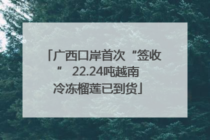 广西口岸首次“签收” 22.24吨越南冷冻榴莲已到货
