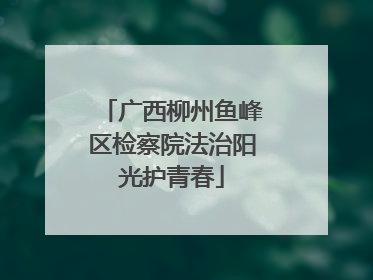 广西柳州鱼峰区检察院法治阳光护青春