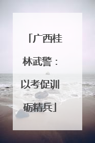 广西桂林武警：以考促训砺精兵