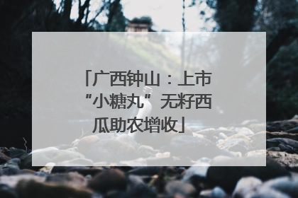 广西钟山：上市“小糖丸”无籽西瓜助农增收