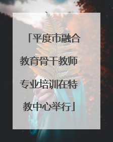 平度市融合教育骨干教师专业培训在特教中心举行