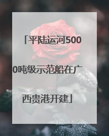 平陆运河5000吨级示范船在广西贵港开建