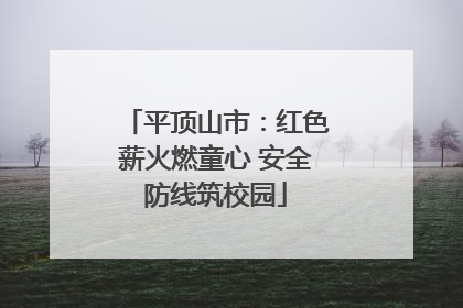 平顶山市：红色薪火燃童心 安全防线筑校园
